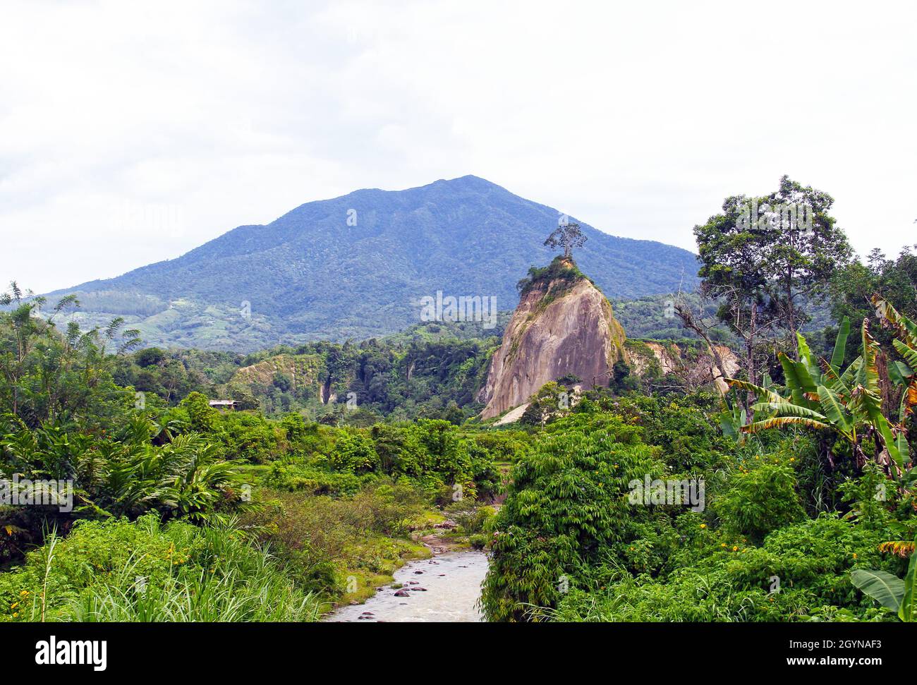 Ngarai Sianok Or The Sianok Valley With Vast Forests, Volcanoes ...