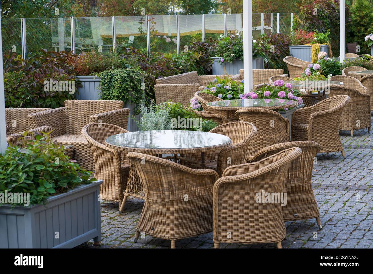 Empty outdoor cafe terrace with wicker furniture and growing flowers in pot for summer entertainment Stock Photo