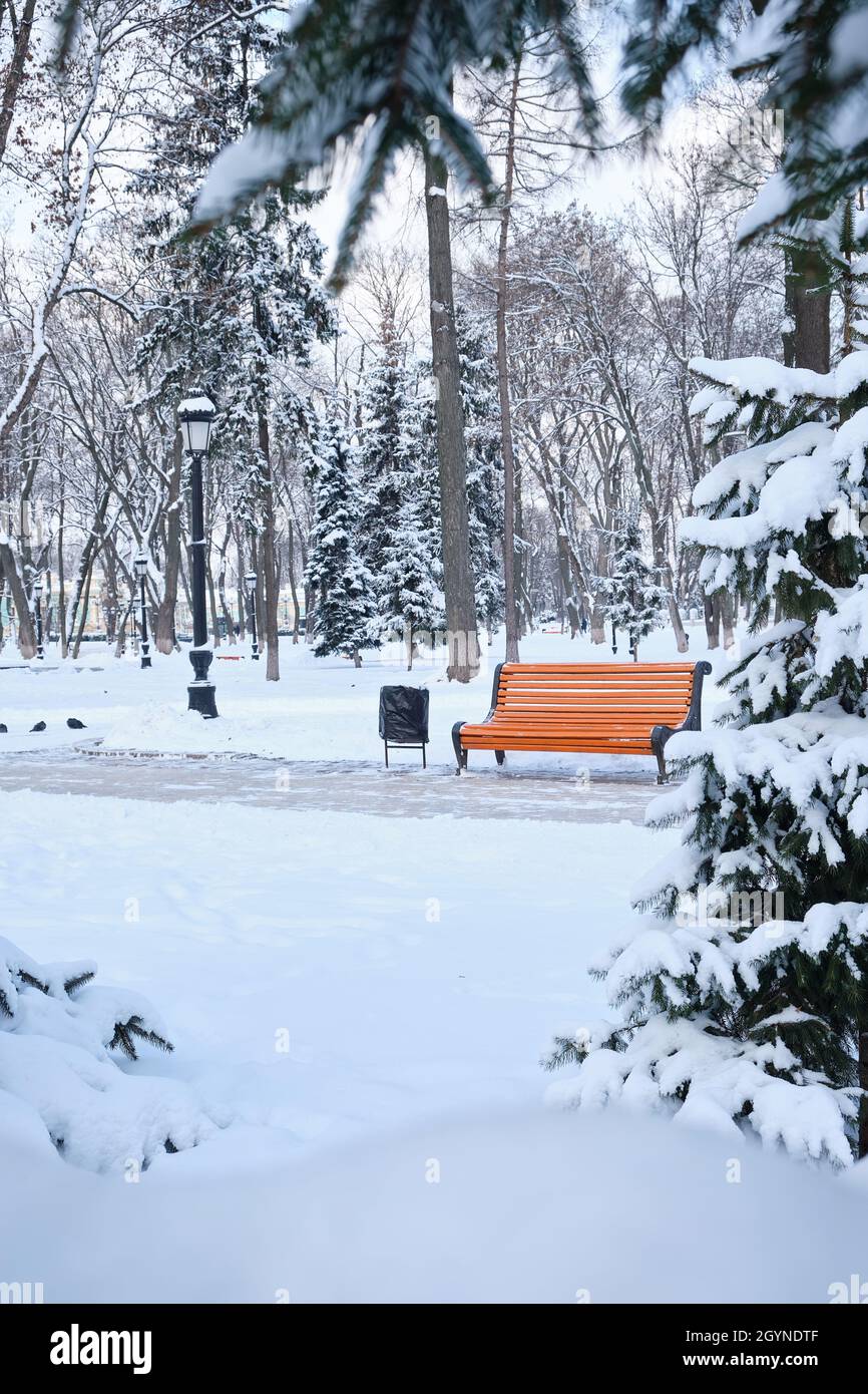 orange bench in the park in the snow in winter. Kyiv, Mariinskyi Park ...
