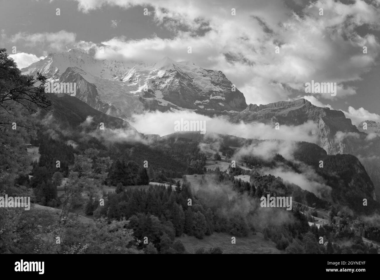 The Jungfrau and its glacier (the Giesengletscher), with the alp of Wengernalp below: Bernese Oberland, Switzerland.  Black and white version. Stock Photo