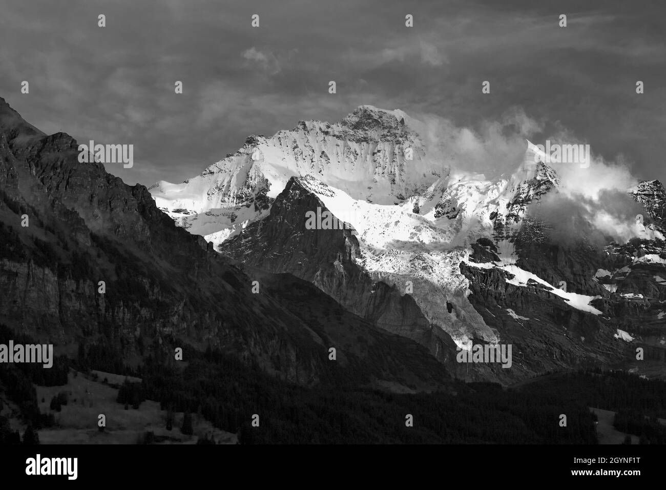 The Jungfrau with its glacier (the Giesengletscher) from Wengen at evening, Bernese Oberland, Switzerland.  Black and white version. Stock Photo