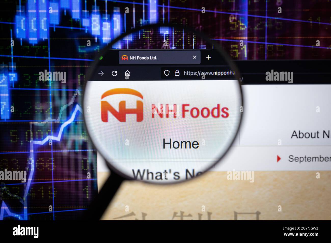 NH Foods company logo on a website with blurry stock market developments in the background, seen on a computer screen through a magnifying glass Stock Photo