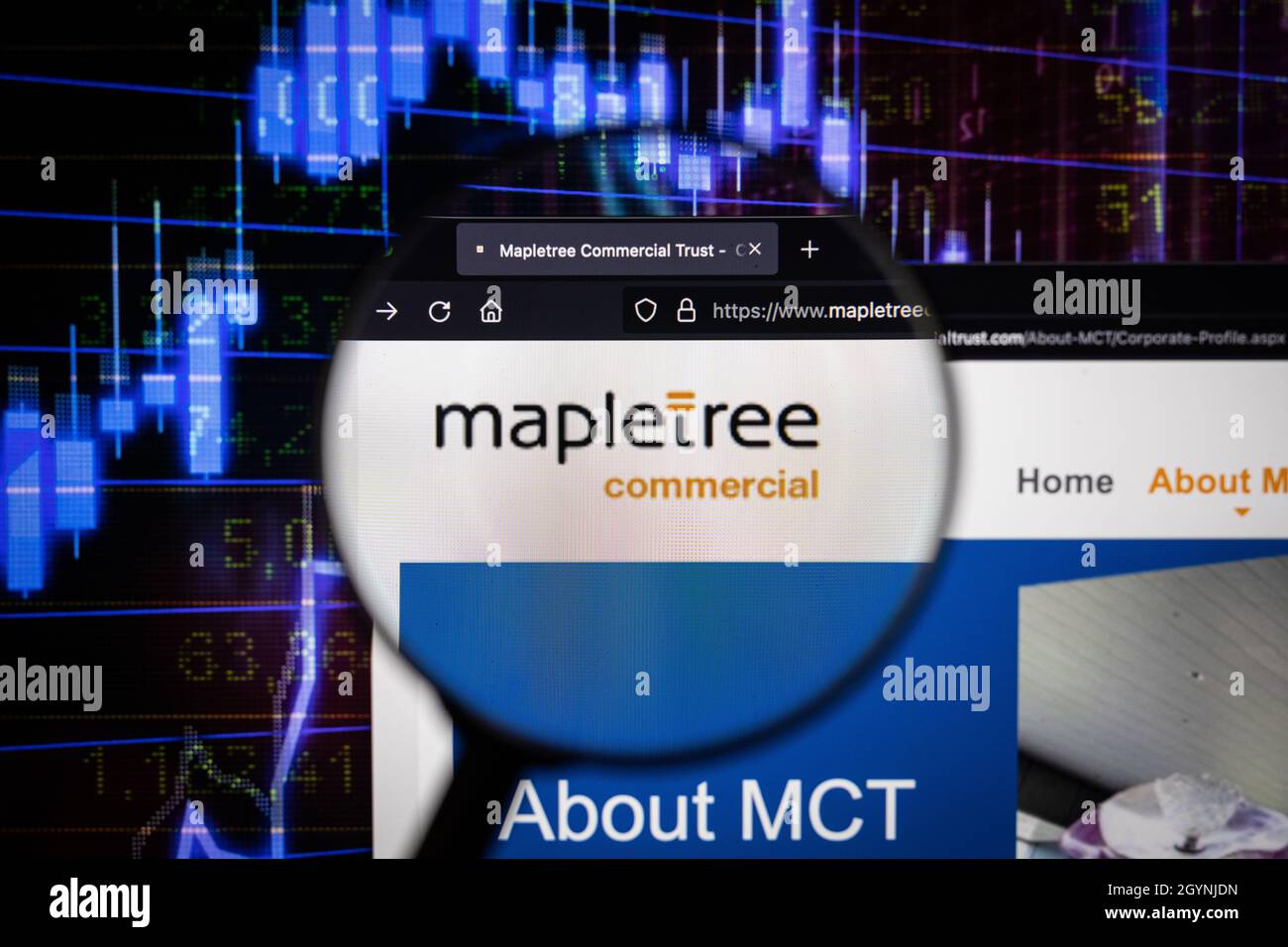 Mapletree company logo on a website with blurry stock market developments in the background, seen on a computer screen through a magnifying glass Stock Photo