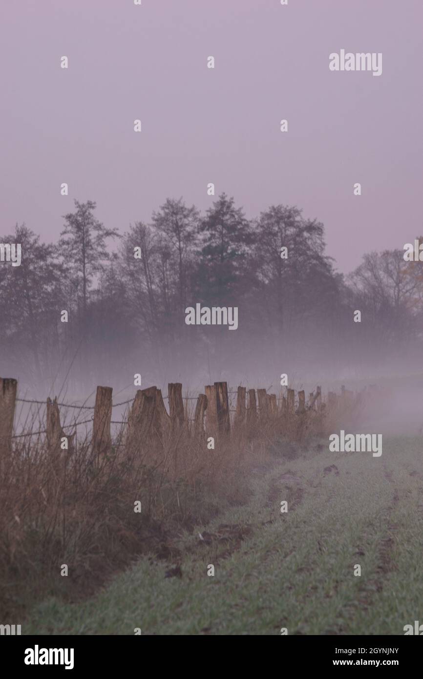 Fog over fields hi-res stock photography and images - Alamy