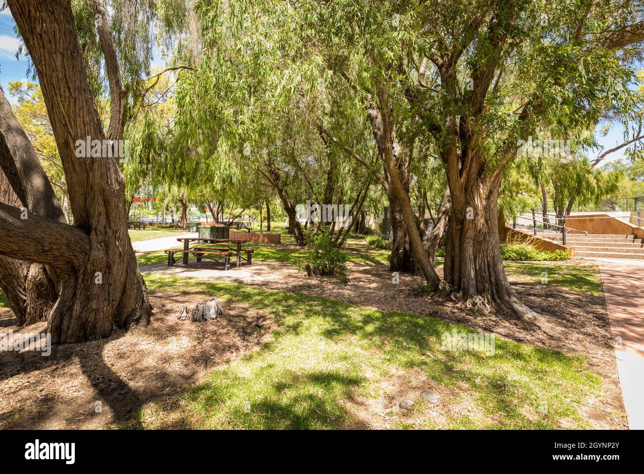Picnic area Lakes Park Dalyellup, Western Australia Stock Photo