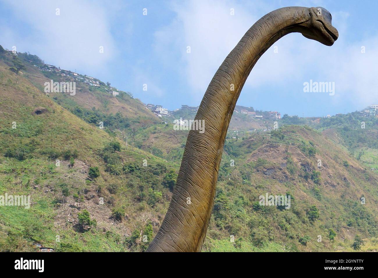 Replica of a dinosaur with long neck displayed in a park in Benguet, Philippines, Southeast Asia. Photo taken on February 25, 2015. Stock Photo