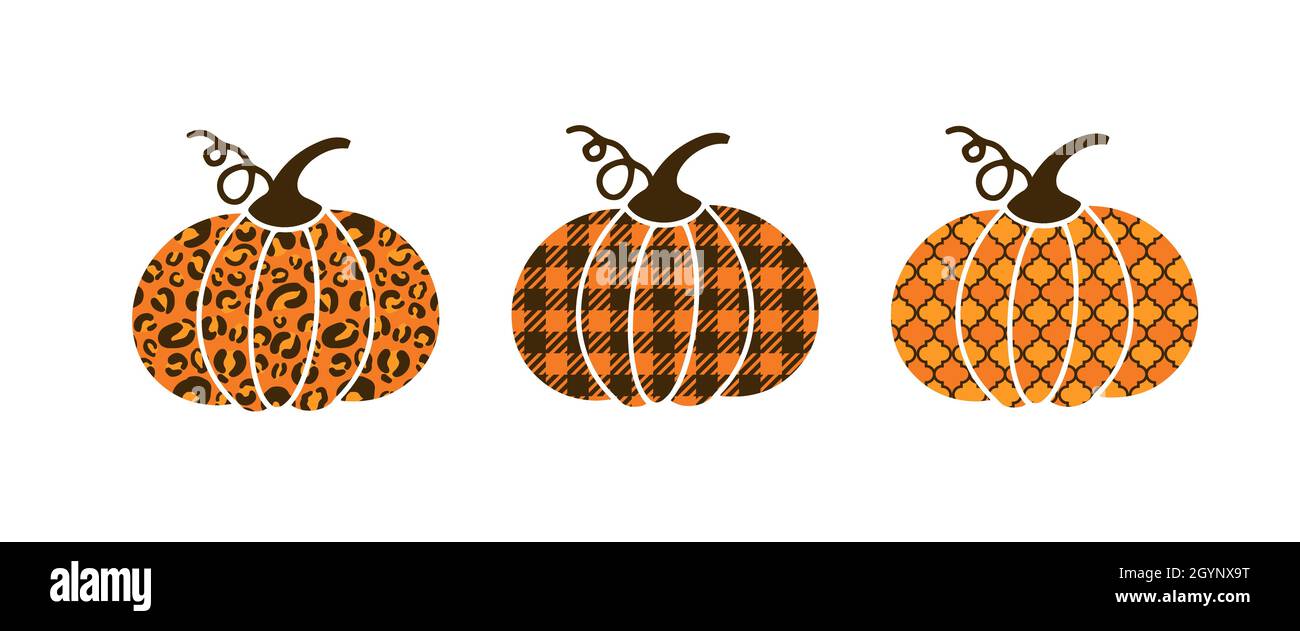Pumpkins made of buffalo plaid, leopard and arabesque pattern. Cute autumn decorations. Vector template for Thanksgiving day, Halloween, harvest fest Stock Vector