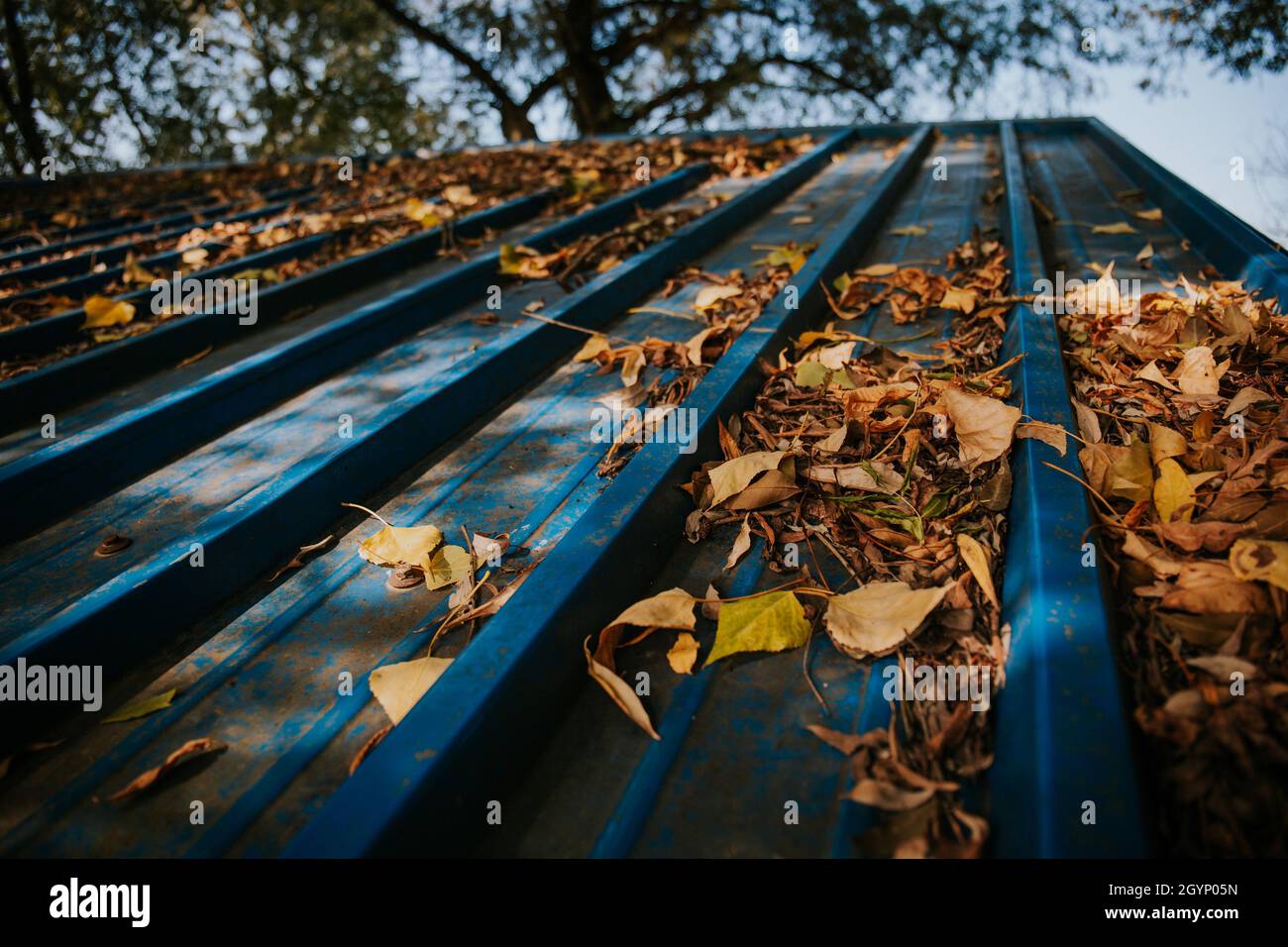 Leaves on a metal roof hi-res stock photography and images - Alamy