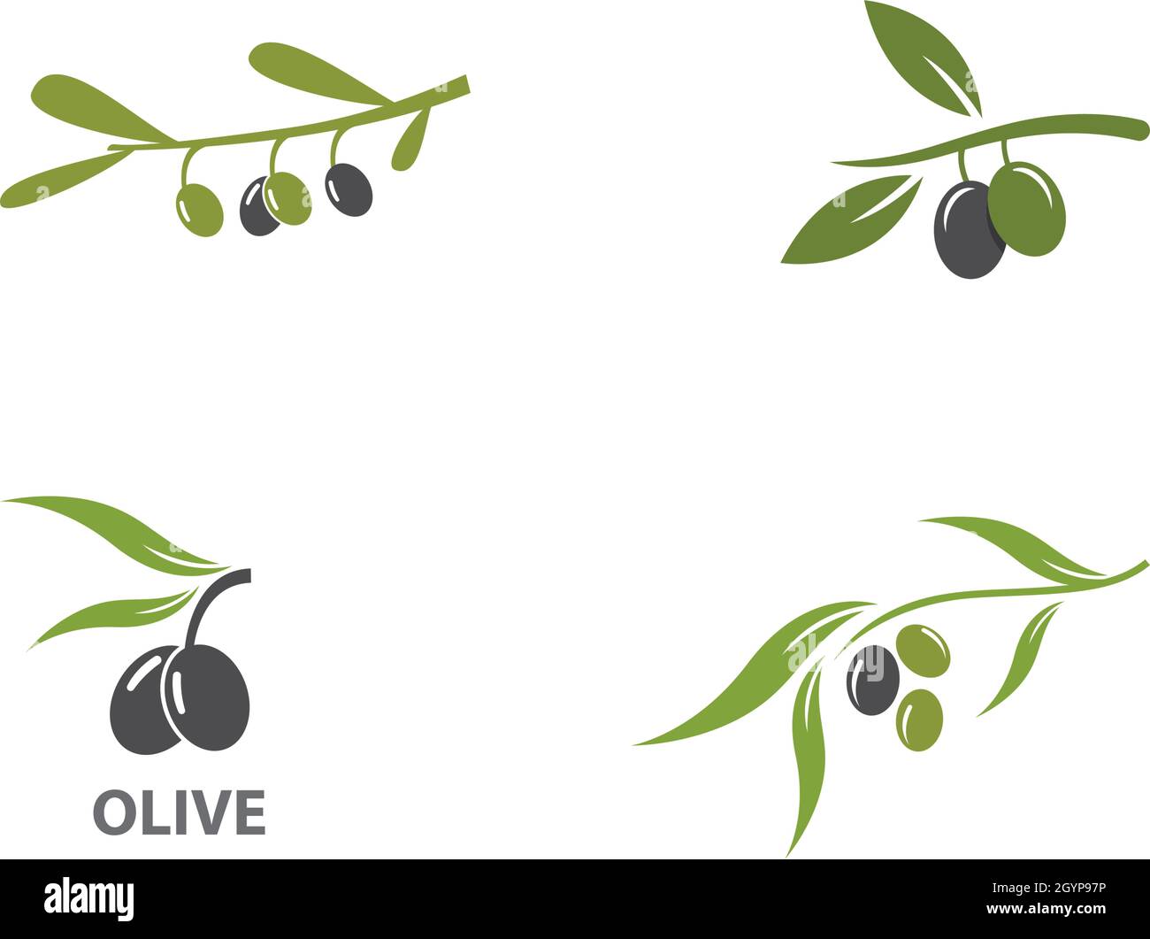 olive logo template vector design Stock Vector Image & Art - Alamy