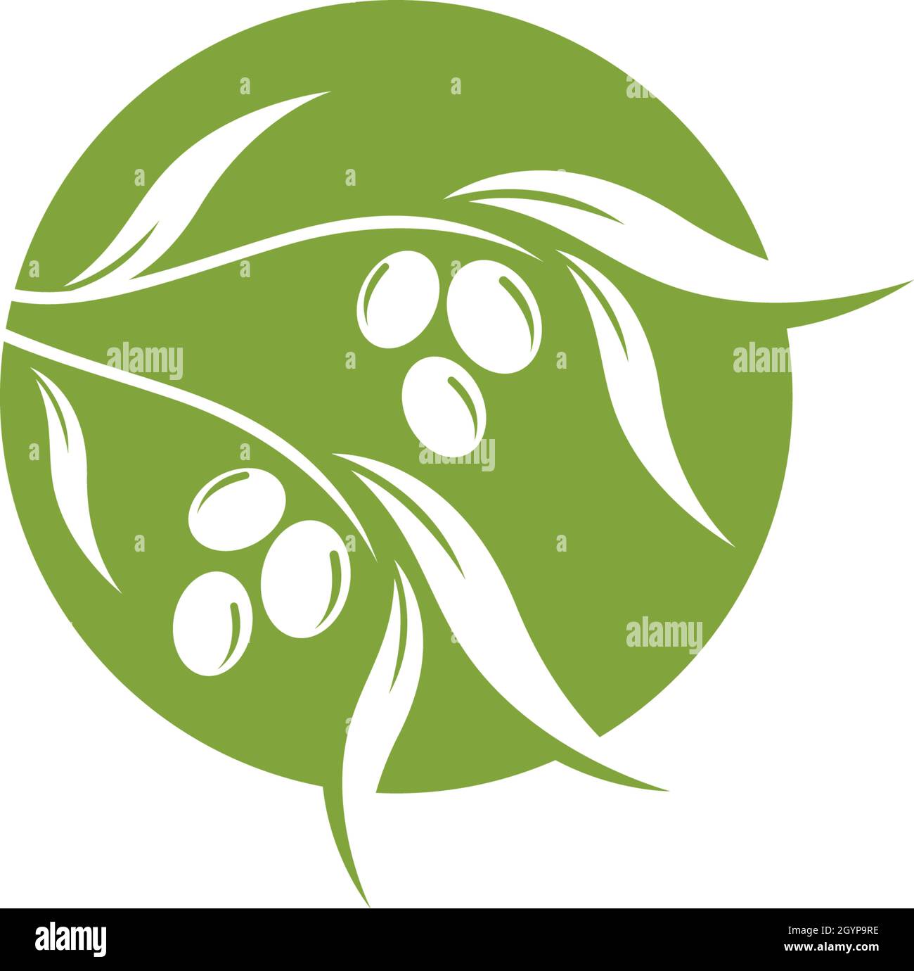 olive logo template vector design Stock Vector Image & Art - Alamy