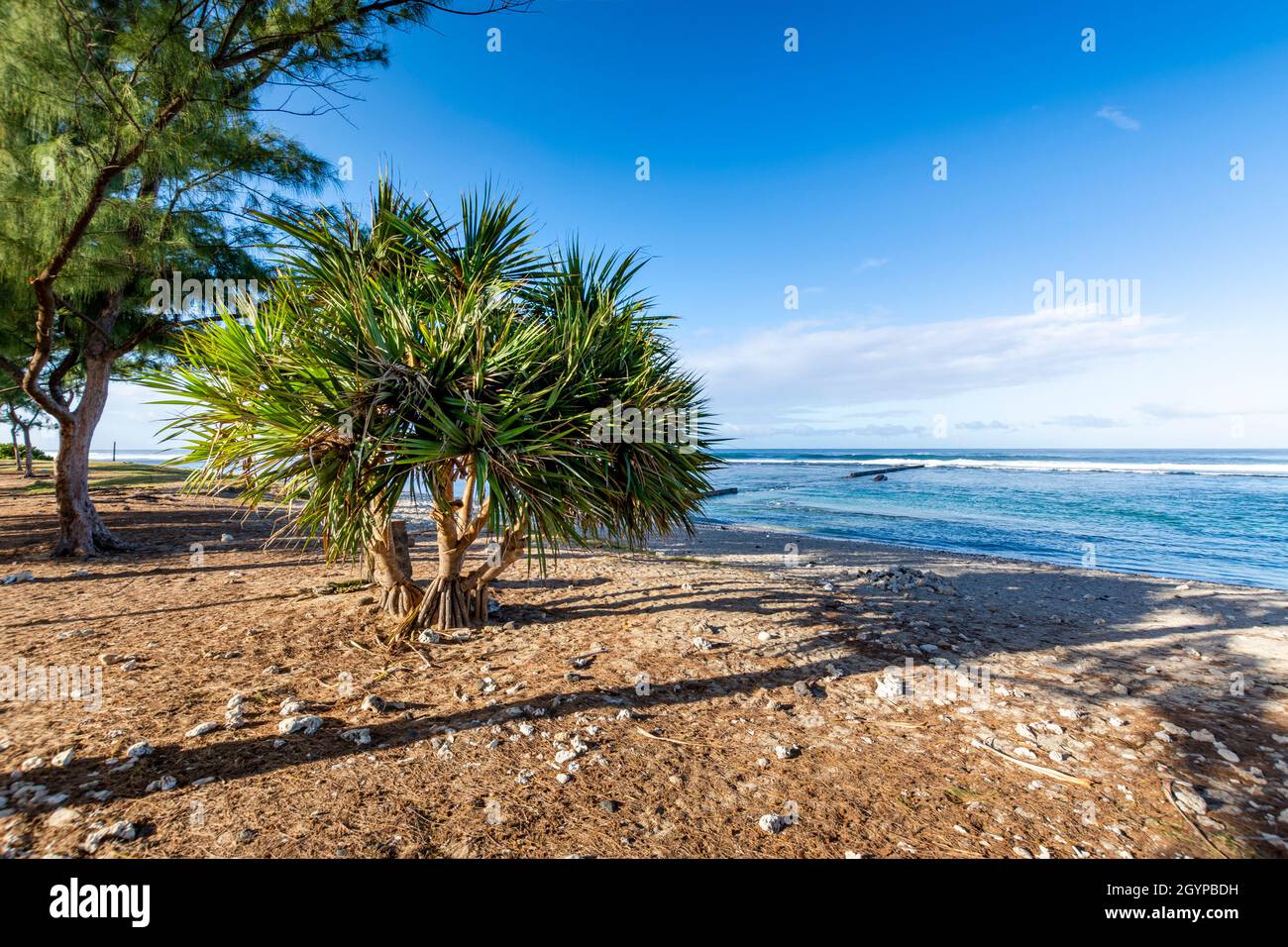 Beach of Saint Pierre at Reunion Island Stock Photo Alamy