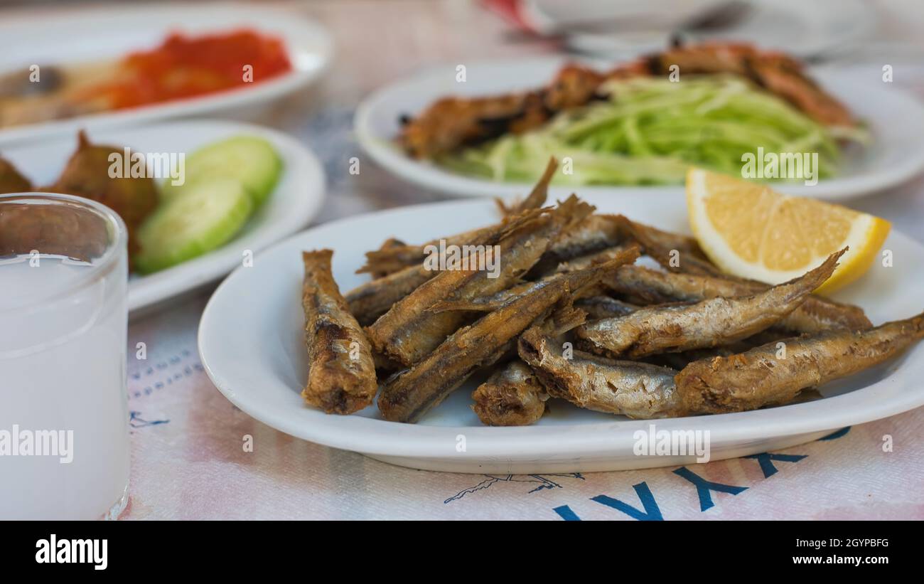 seafood appetizers in Greek tsipouro restaurant ouzo, octopus, fish, squid, olives
