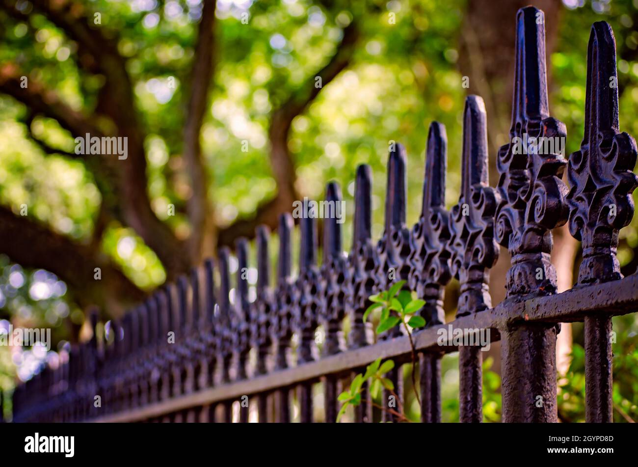 A wrought iron fence surrounds Washington Square, Nov. 15, 2015, in New
