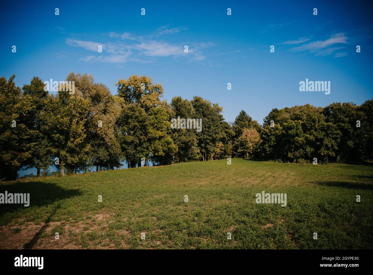 Natural view of a green field and forest under a clear blue sky Stock ...