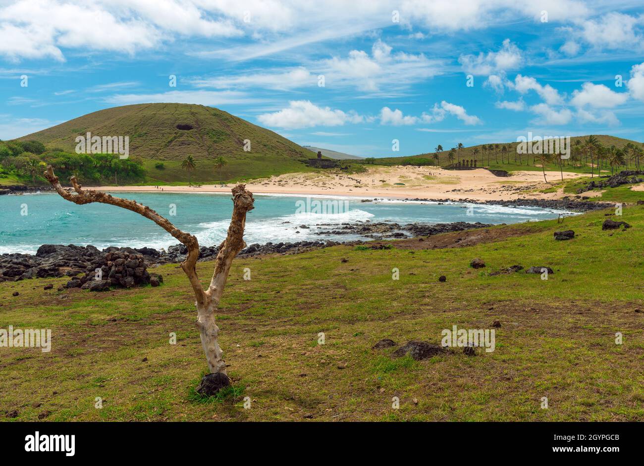 Anakena beach landscape by Pacific Ocean and Ahu Nau Nau Moai statues, Easter Island (Rapa Nui), Chile. Stock Photo