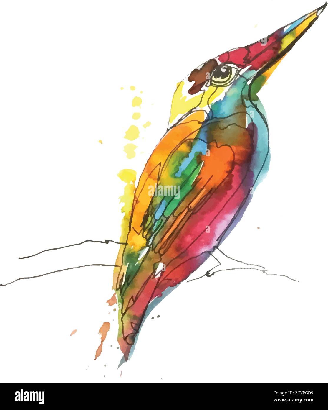 kingfisher bird hunter digital hand drawn illustration vector style Stock Vector