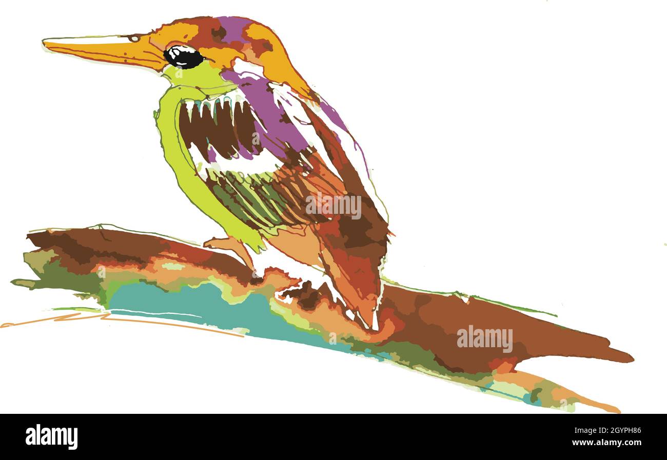 kingfisher bird hunter digital hand drawn illustration vector style Stock Vector