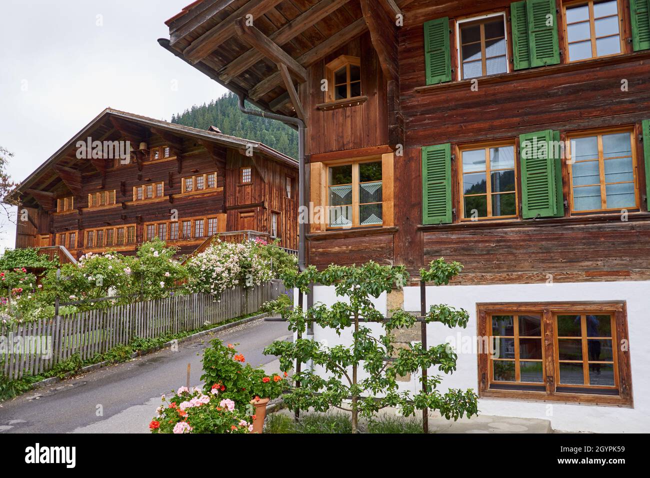 Swiss chalets in Blankenburg near Zweisimmen - Obersimmental, Berner Oberland, Switzerland Stock Photo
