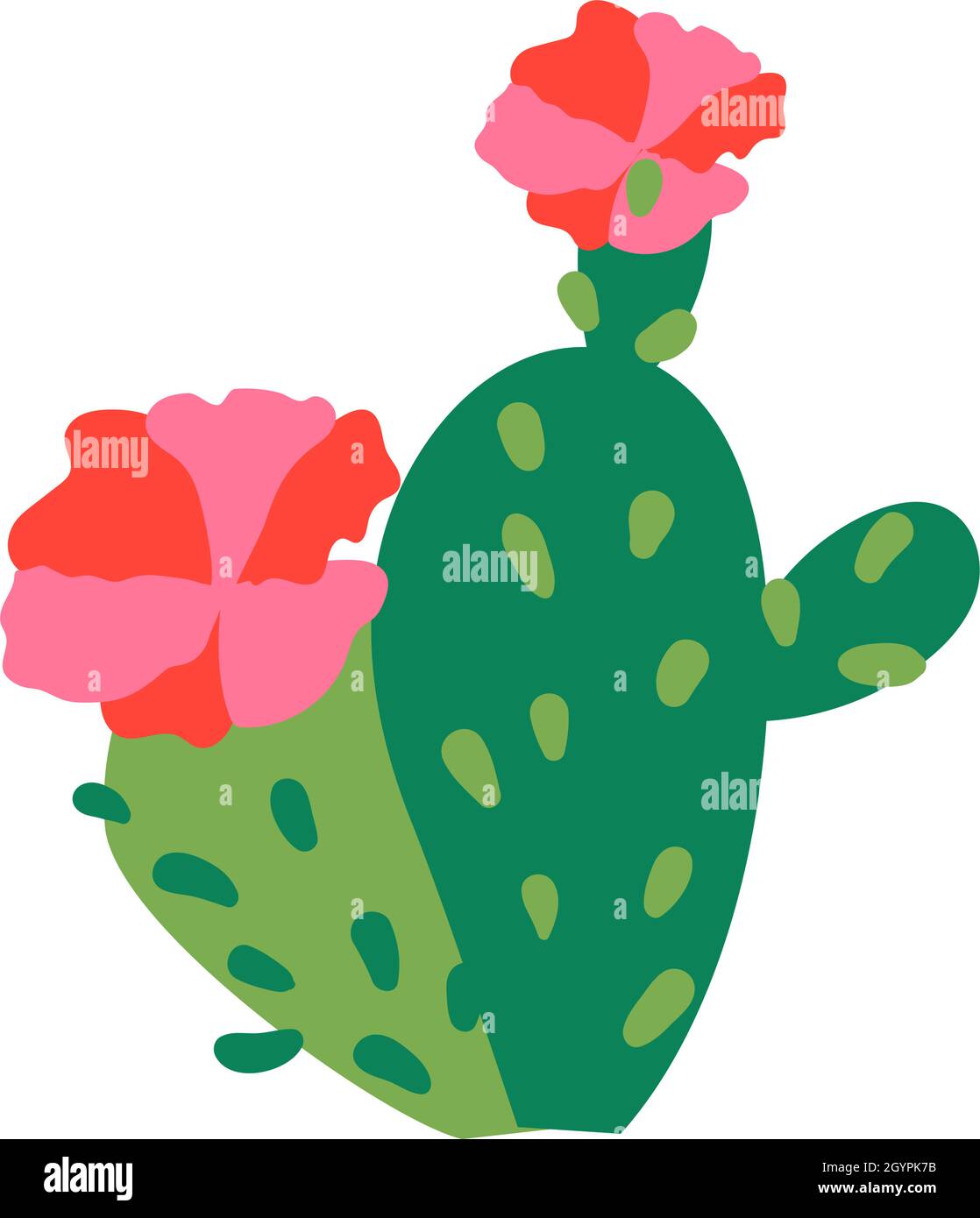 Succulent cactus with blooming flower on top. Vector plant cacti with ...