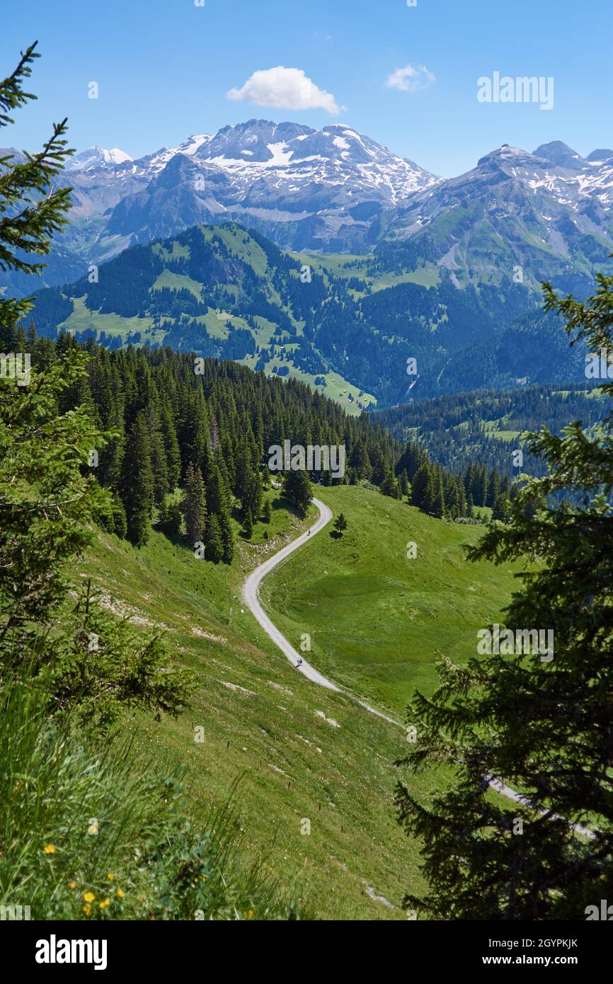 Betelberg mountain walking tracks and ski fields - Lenk, Bernese Oberland, Switzerland Stock Photo