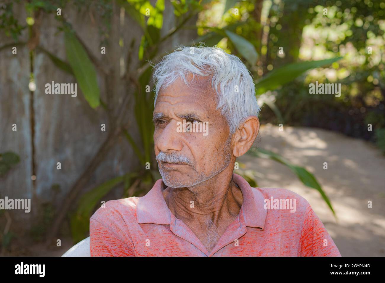 Close-up portrait of Senior citizen Indian man sitting on a chair in the evening sad thinking something, india Stock Photo