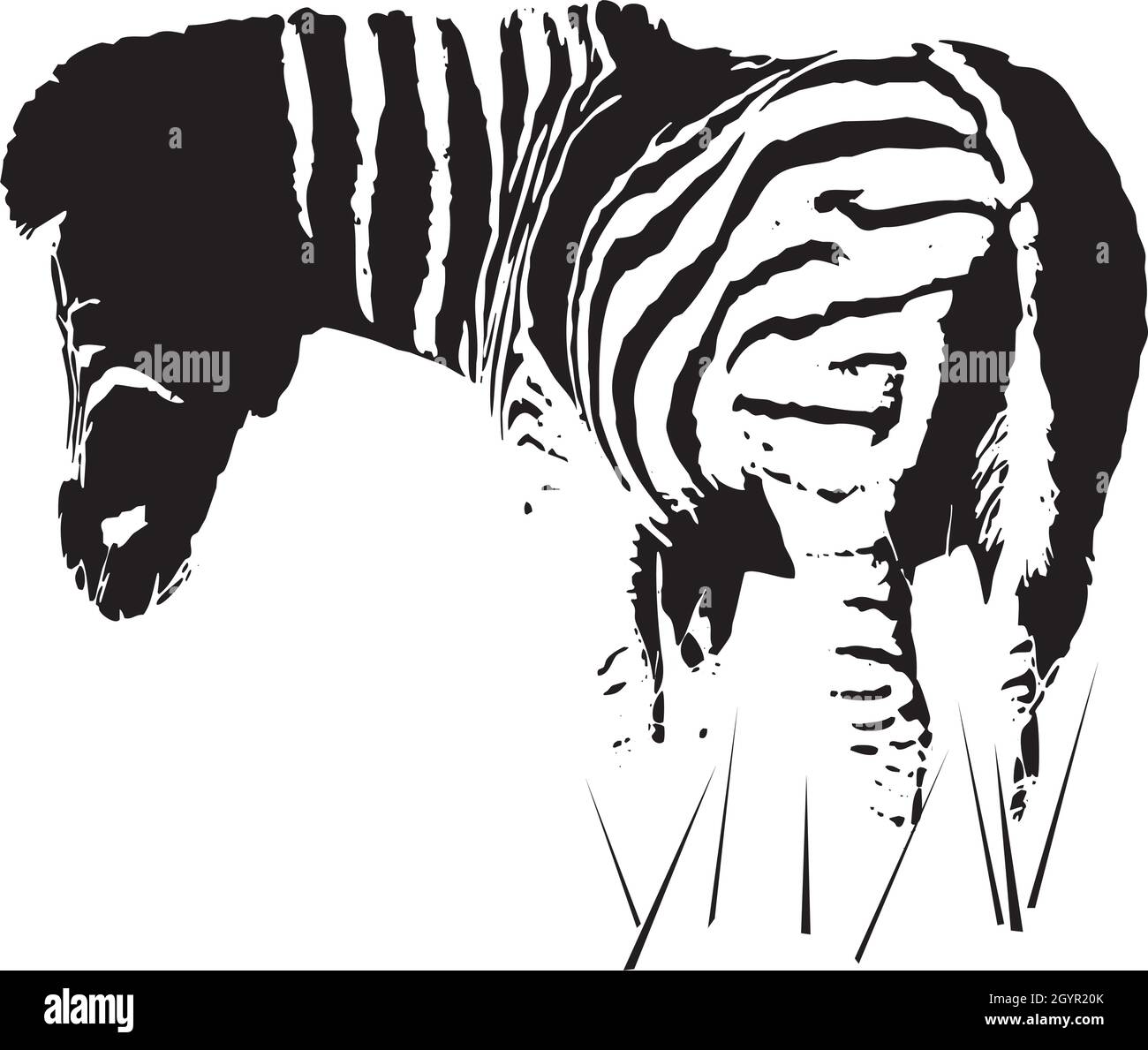Vector silhouette of a African Zebra Stock Vector Image & Art - Alamy
