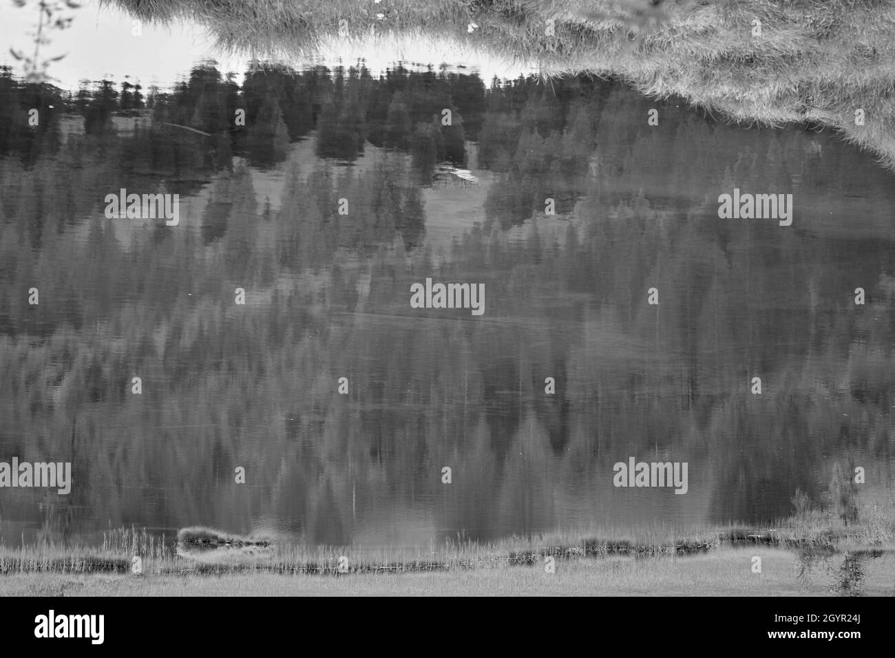 Abstract mountain lake reflections in black & white Stock Photo