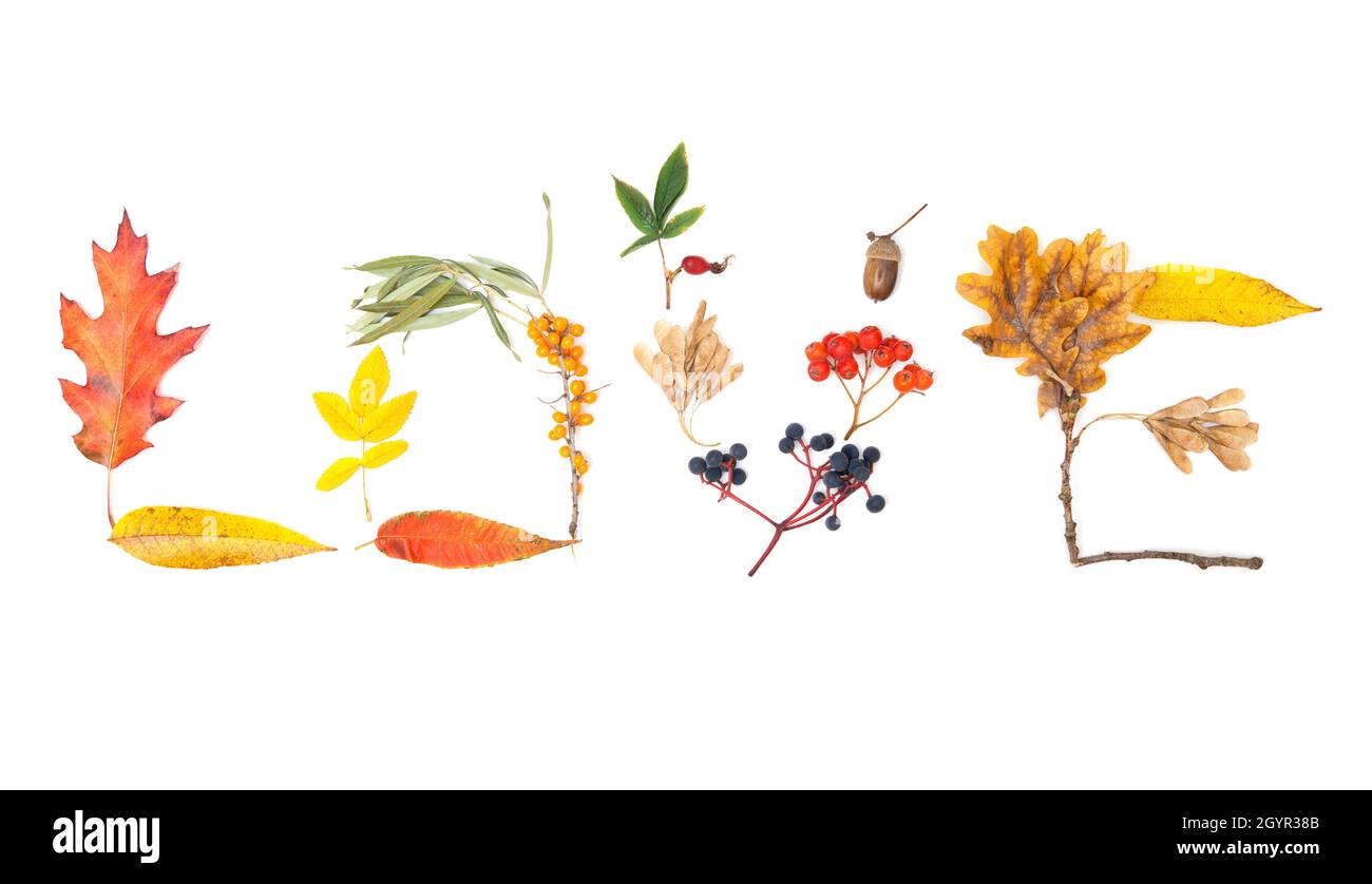 Word LOVE made of bright autumn leaves and colorful berries isolated on white Stock Photo
