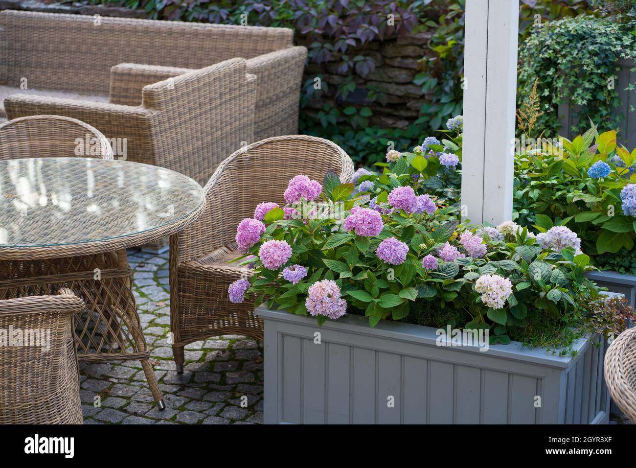 Spend evening on terrace: garden cafe or restaurant with wooden wicker chairs and blooming hydrangea Stock Photo