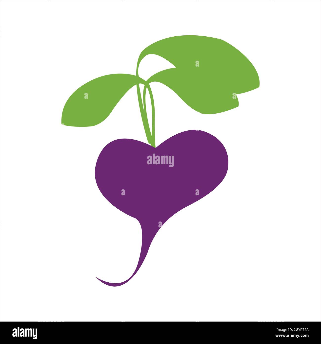 Beetroot flat icon vector image, with illustration design Stock Vector ...