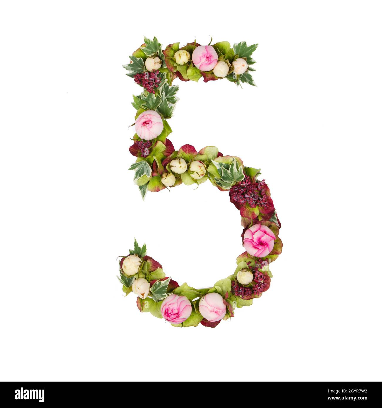 The number Five Part of a set of letters, Numbers and symbols of the Alphabet made with flowers, branches and leaves on white background Stock Photo