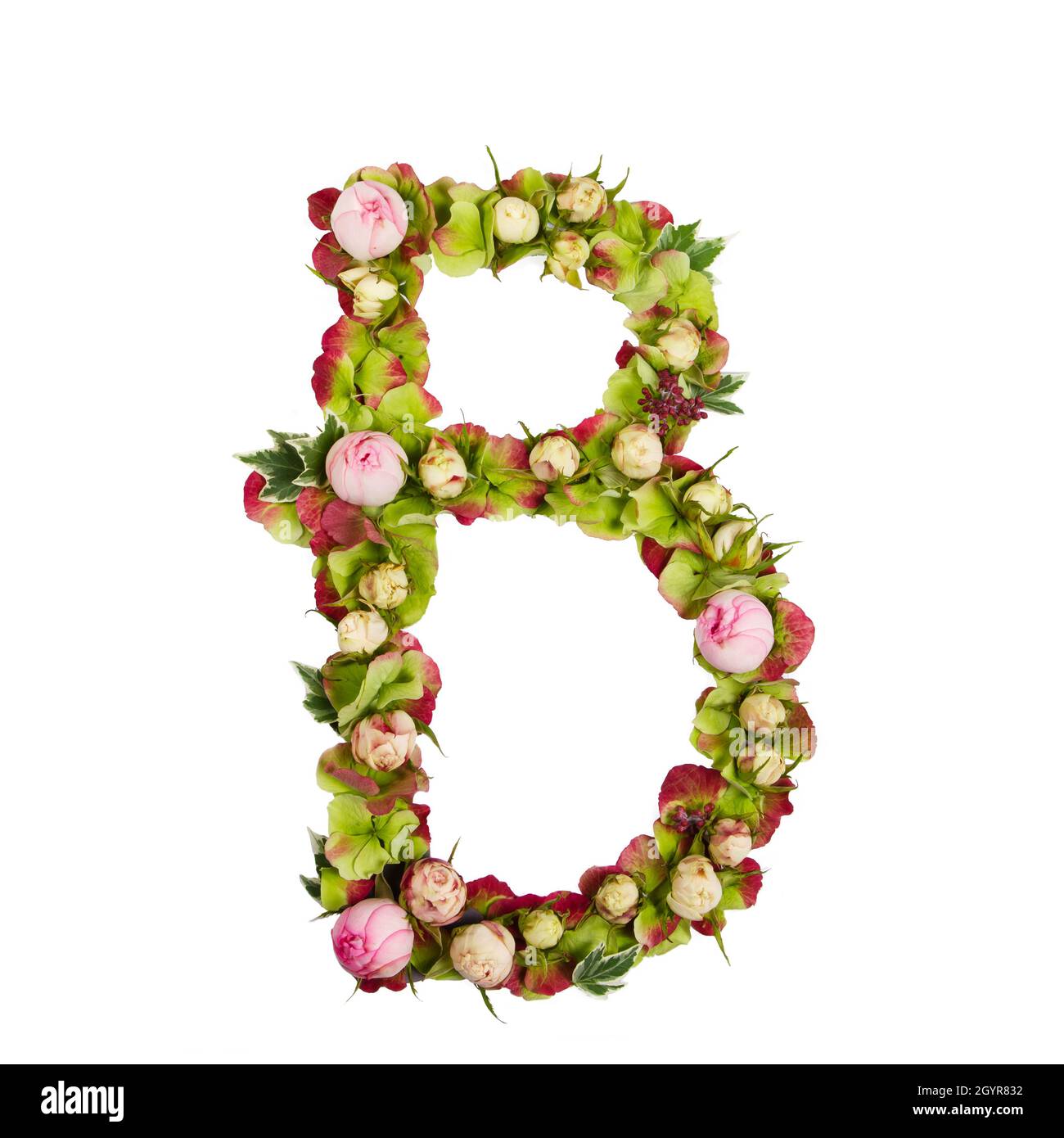 Capital Letter B Part of a set of letters, Numbers and symbols of the Alphabet made with flowers, branches and leaves on white background Stock Photo