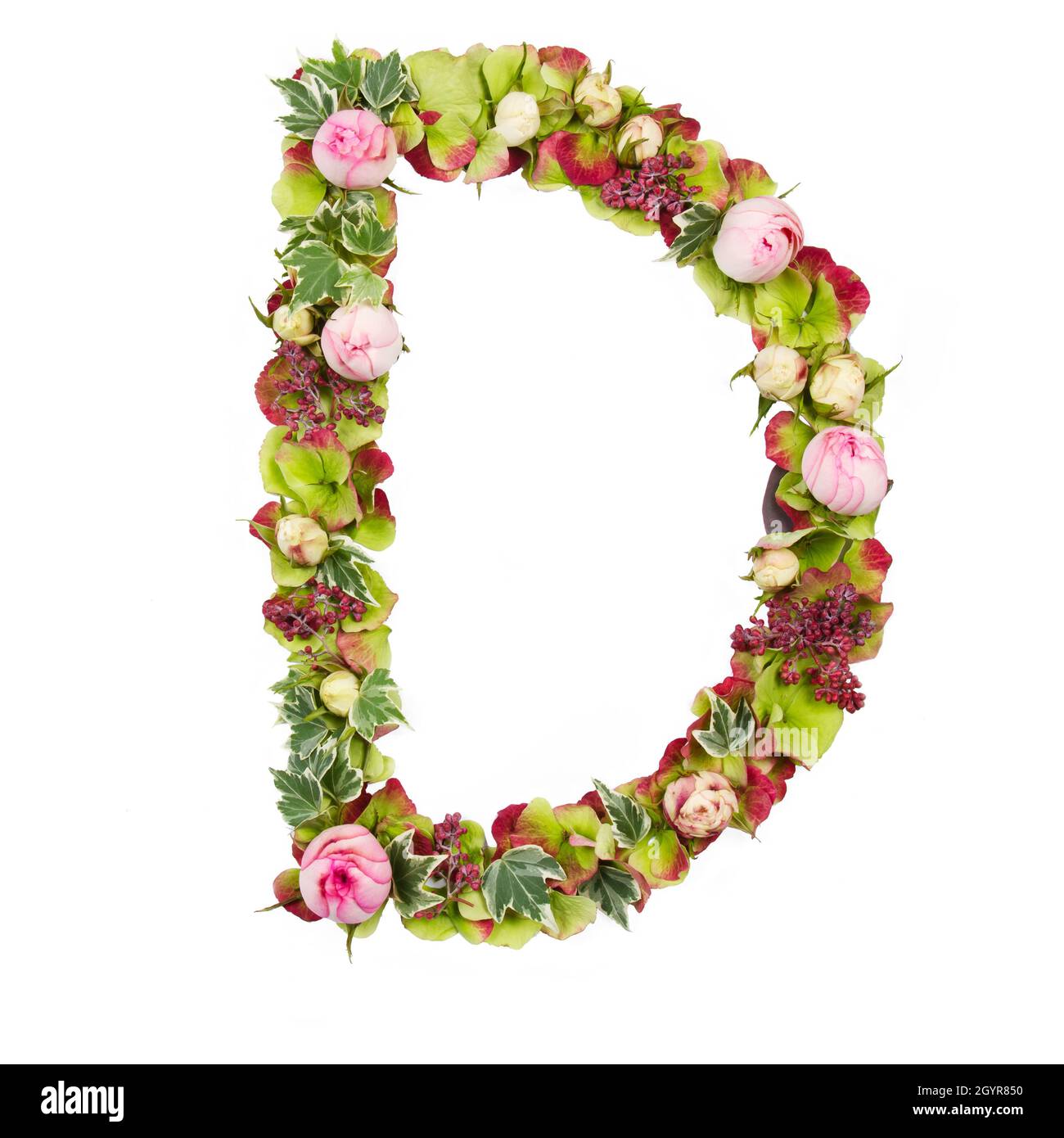 Capital Letter D Part of a set of letters, Numbers and symbols of the Alphabet made with flowers, branches and leaves on white background Stock Photo