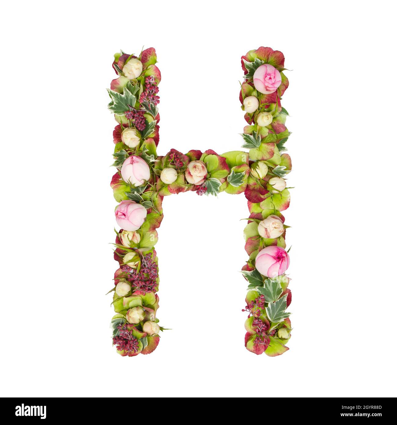 Capital Letter H Part of a set of letters, Numbers and symbols of the Alphabet made with flowers, branches and leaves on white background Stock Photo