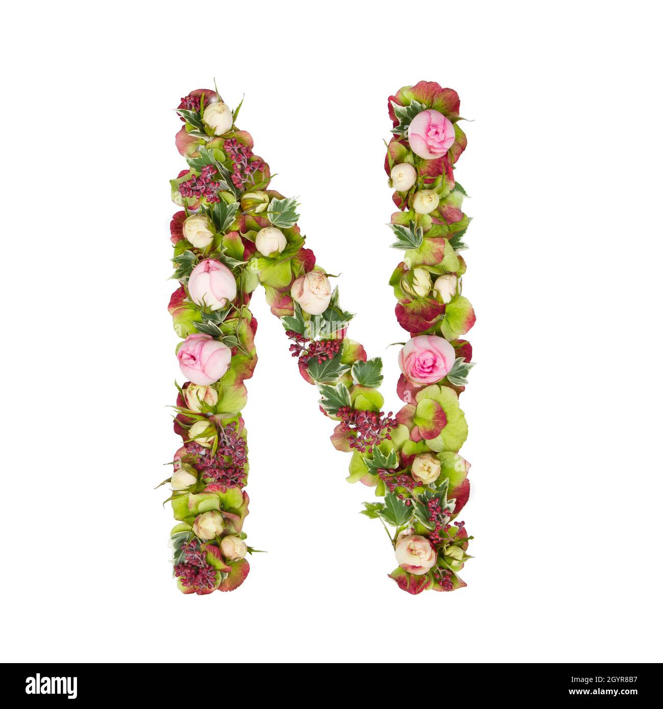 Letter N Alphabet High Resolution Stock Photography And Images Alamy