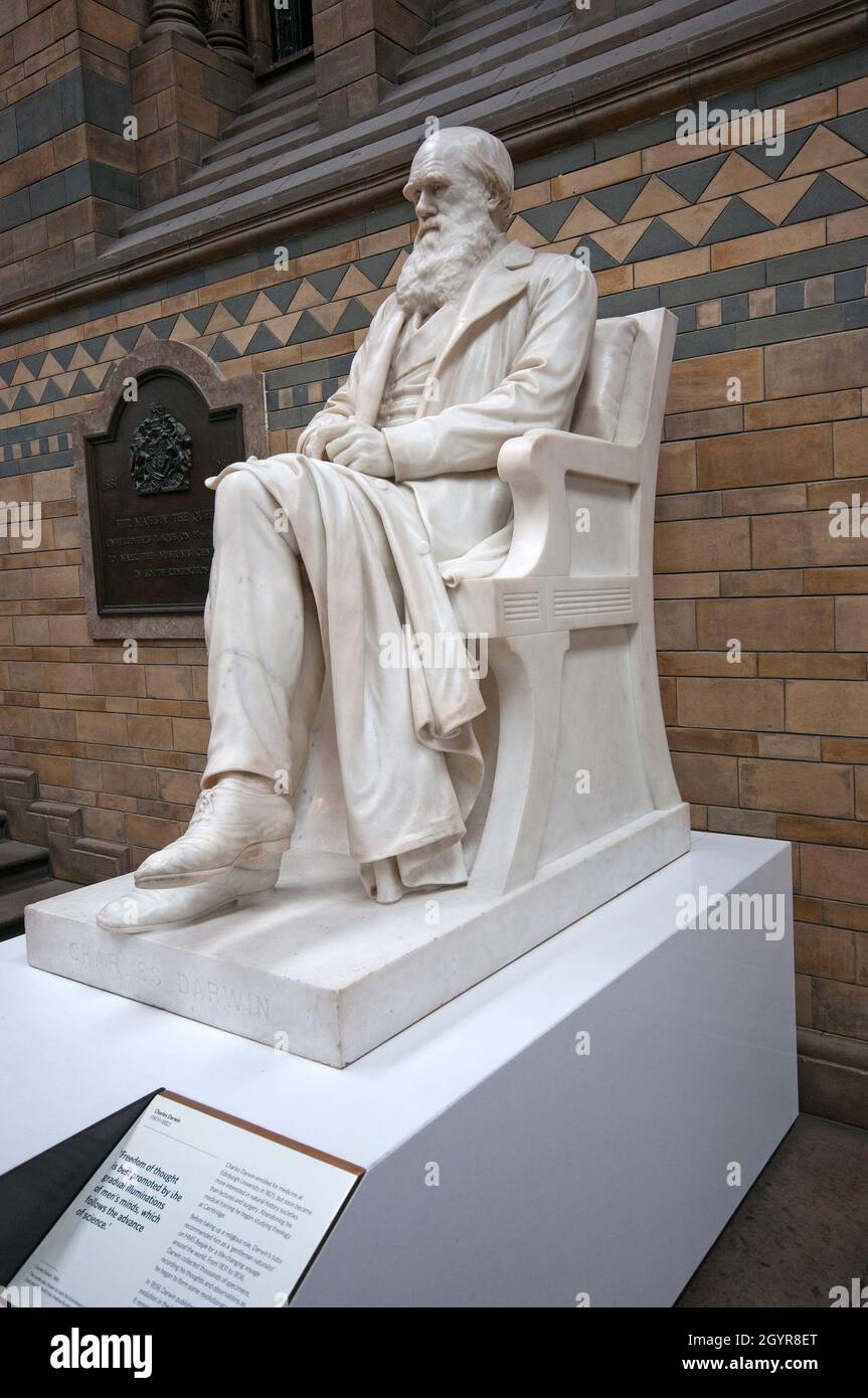 Marble statue of Charles Darwin (18091882) by Joseph Edgar Boehm, Natural History Museum, South