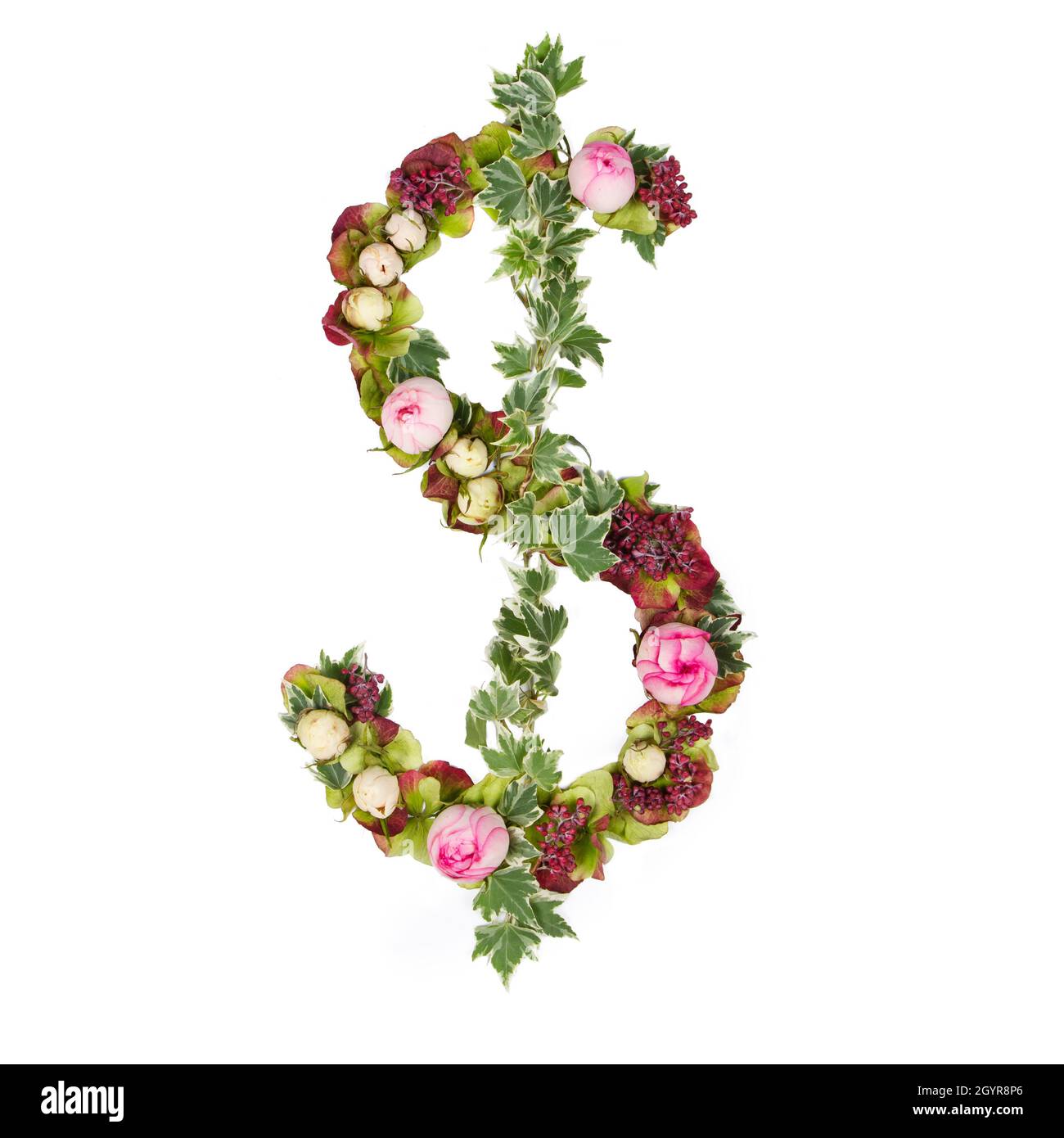 US Dollar Symbol Part of a set of letters, Numbers and symbols of the Alphabet made with flowers, branches and leaves on white background Stock Photo