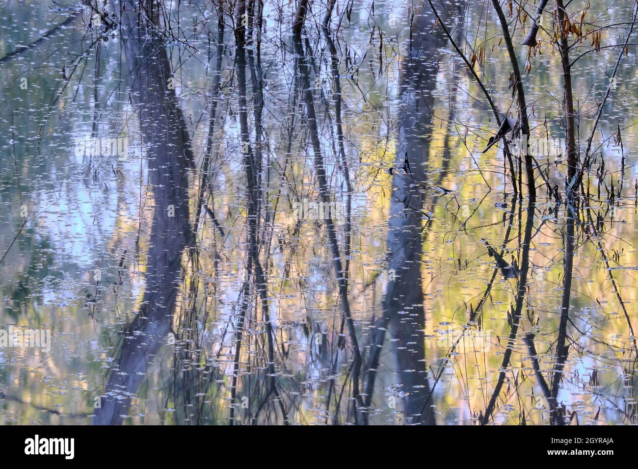 On Reflection, Bubbles Stock Photo