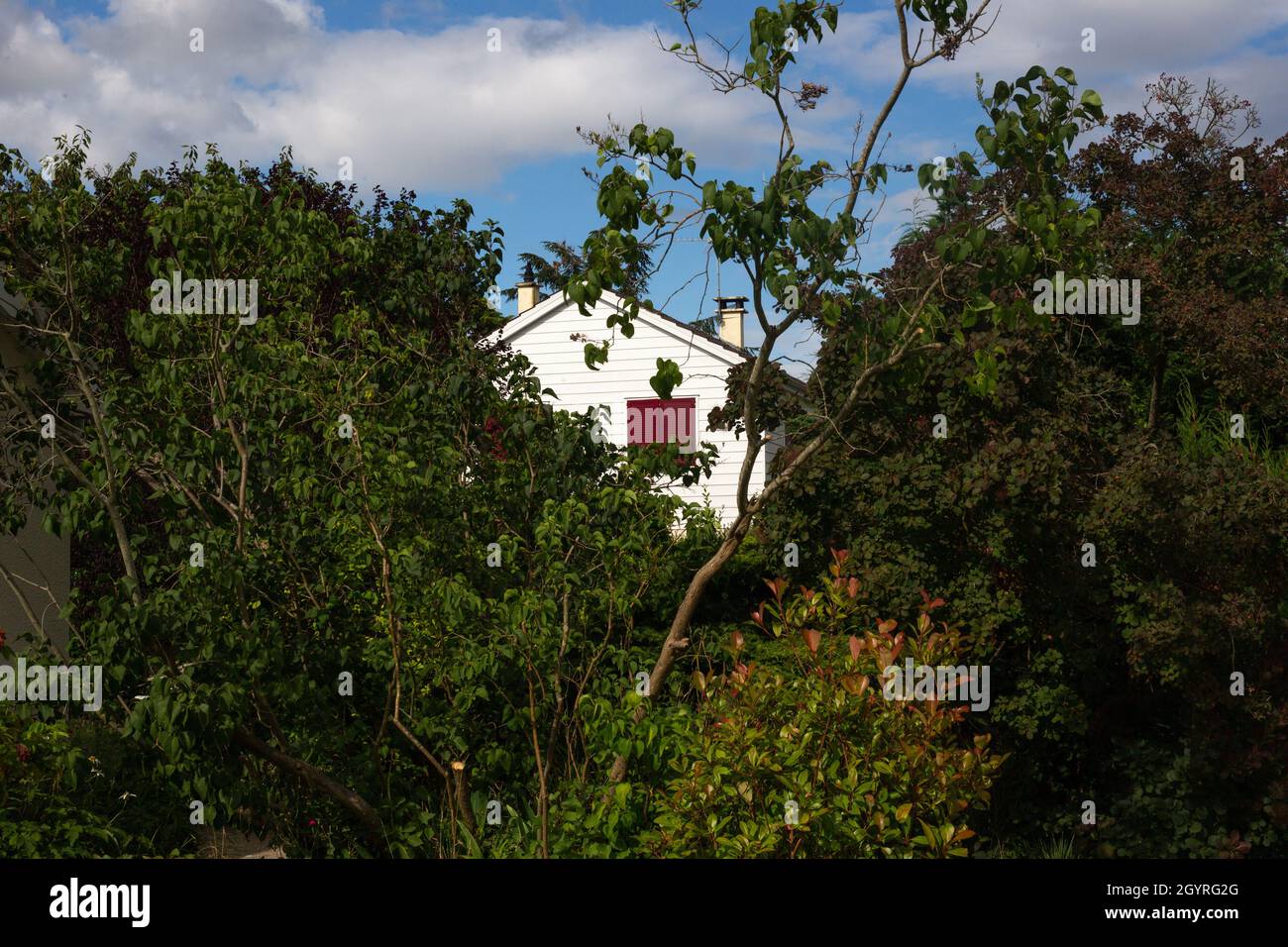 Horizontal shot of a garden and a building under the blue sky Stock ...