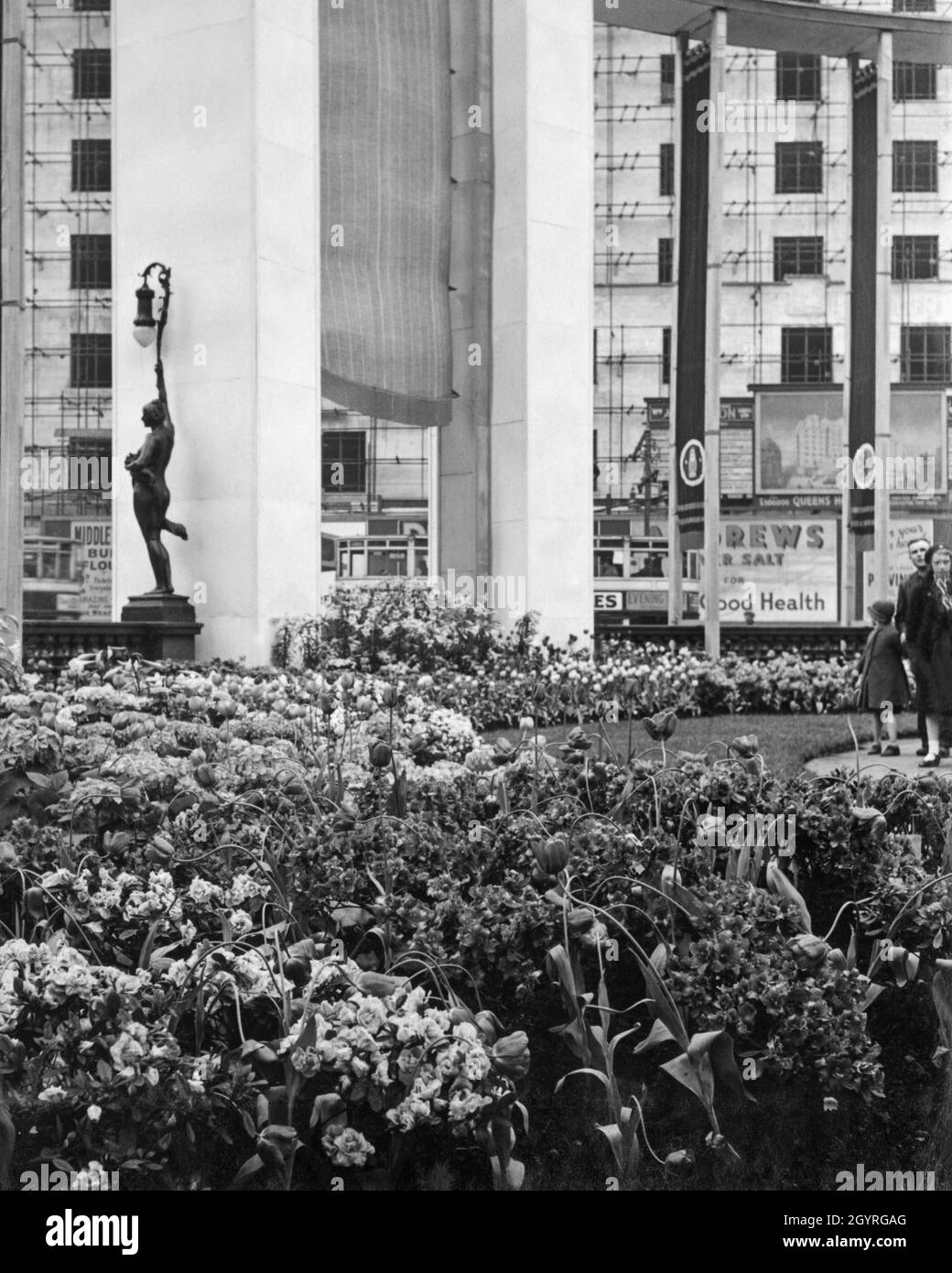 Flowers in Leeds city centre, Yorkshire, England, specially planted to celebrate the Coronation of the British monarch, King George VI, on 12 May 1937 Stock Photo