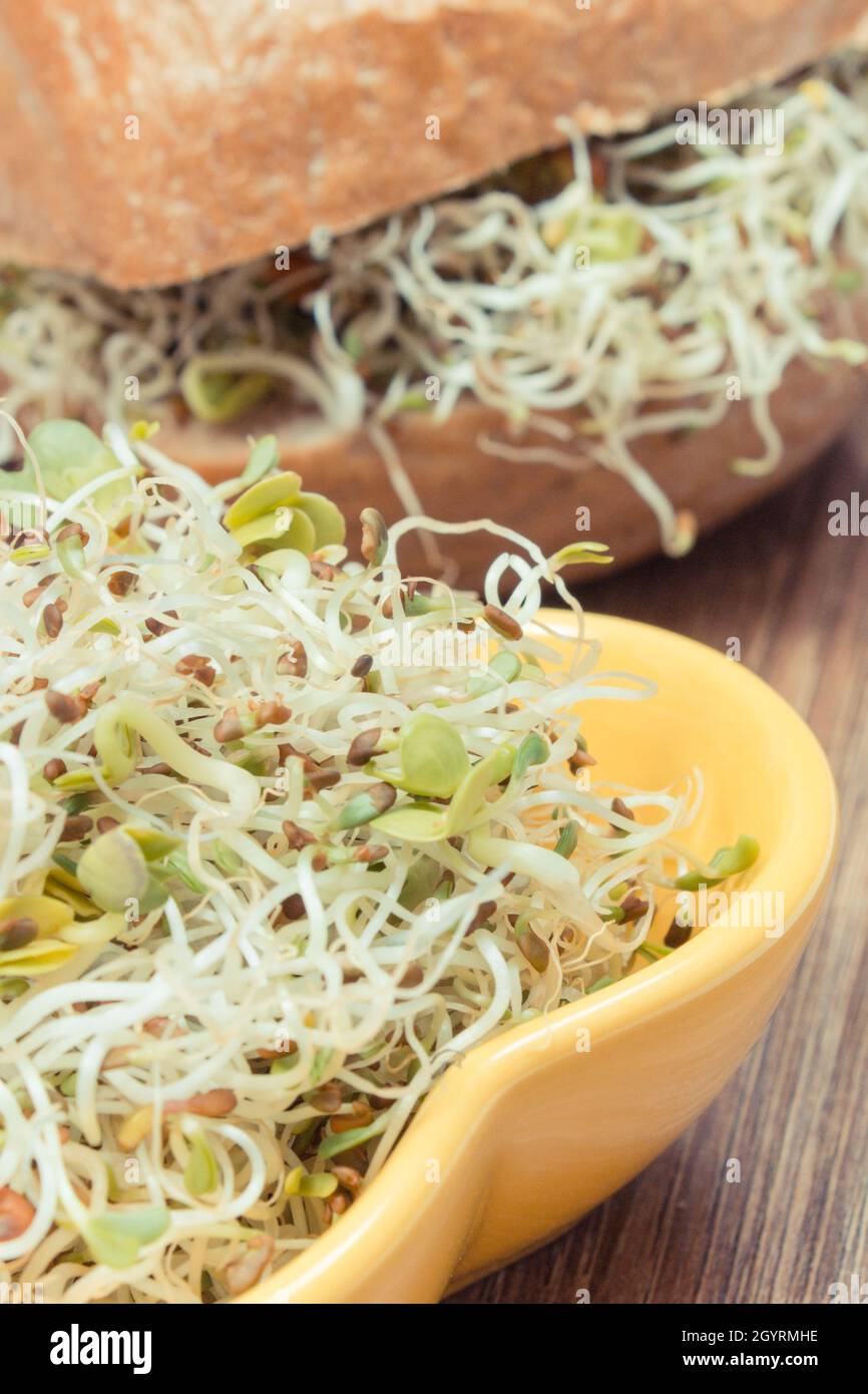 Alfalfa and radish sprouts with wholegrain roll. Healthy addition to