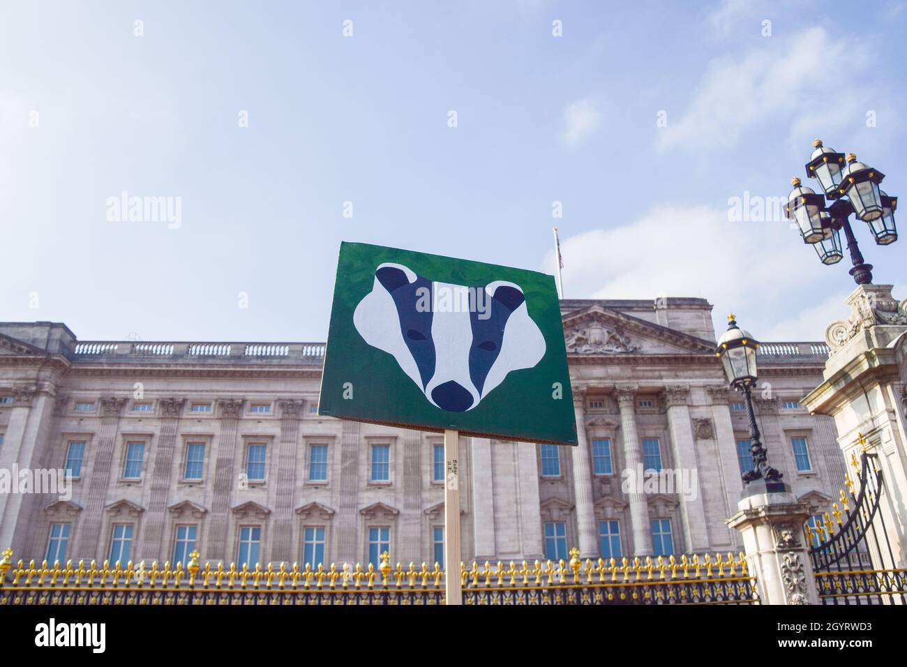 London, UK. 9th October 2021. A protester holds a picture of a badger outside Buckingham Palace. Protesters, children, and families gathered outside Buckingham Palace and delivered a petition asking the royal family to rewild their land to increase wildlife and help fight the climate crisis. Credit: Vuk Valcic / Alamy Live News Stock Photo