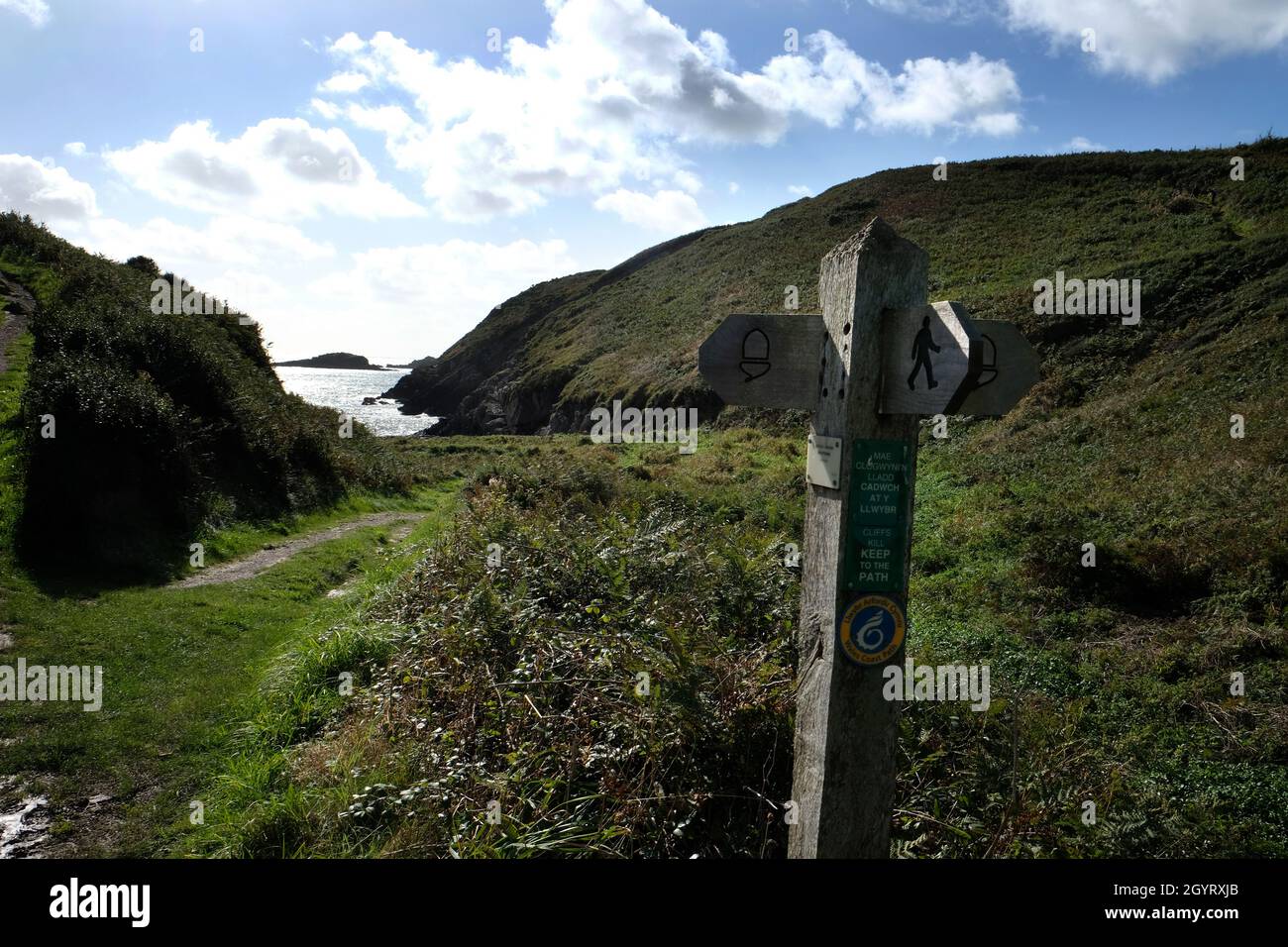 Footpath signpost above Caer Bwdy Bay on the Pembrokeshire Coastal Path. Ynys Penpleidian island can be seen offshore. Wales, UK Stock Photo