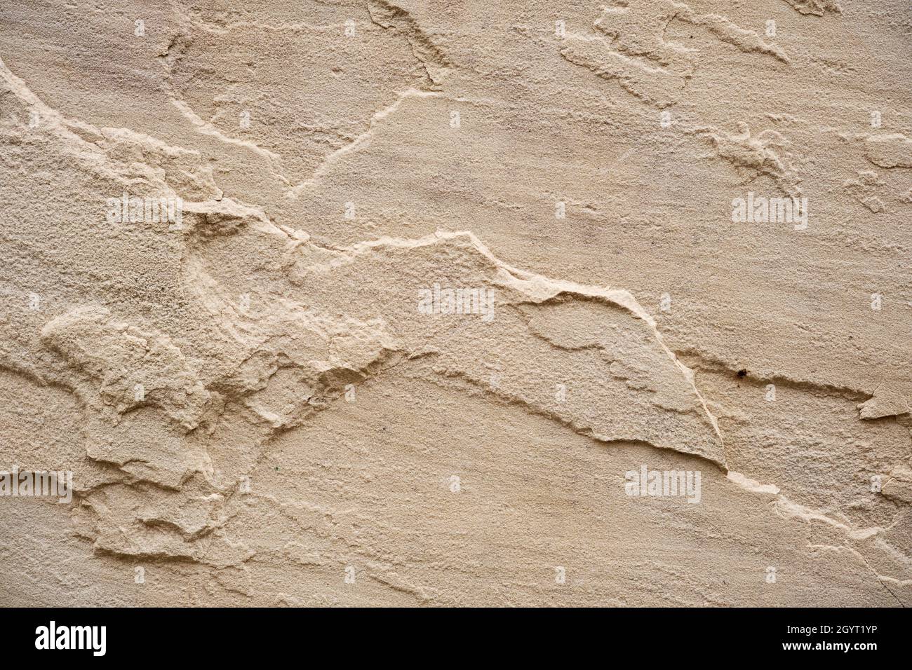 Ceramic porcelain stoneware wall tile detail with textured natural
