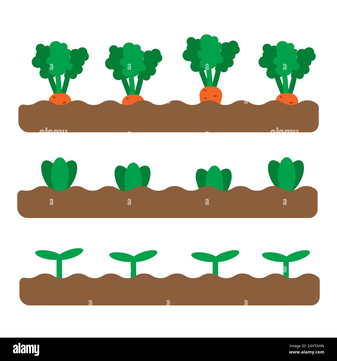 Set of 3 garden beds with different growing vegetables and plants. Flat spring garden illustration. Gardening icons. Vector illustration in cartoon fl Stock Vector