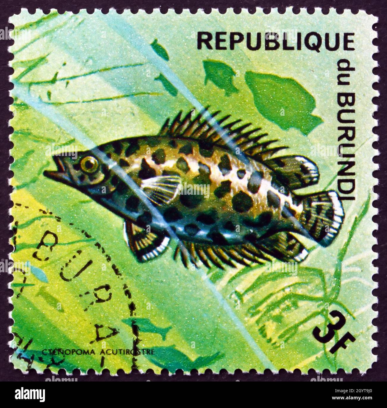 BURUNDI - CIRCA 1974: a stamp printed in Burundi shows Leopard Bush Fish, Ctenopoma Acutirostre, Freshwater Fish, circa 1974 Stock Photo