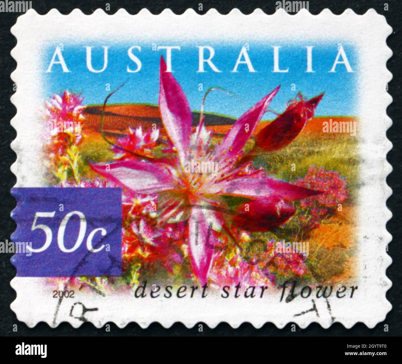 AUSTRALIA - CIRCA 2002: a stamp printed in Australia shows Desert Star Flower, Calytrix Carinata, Flowering Shrub, circa 2002 Stock Photo