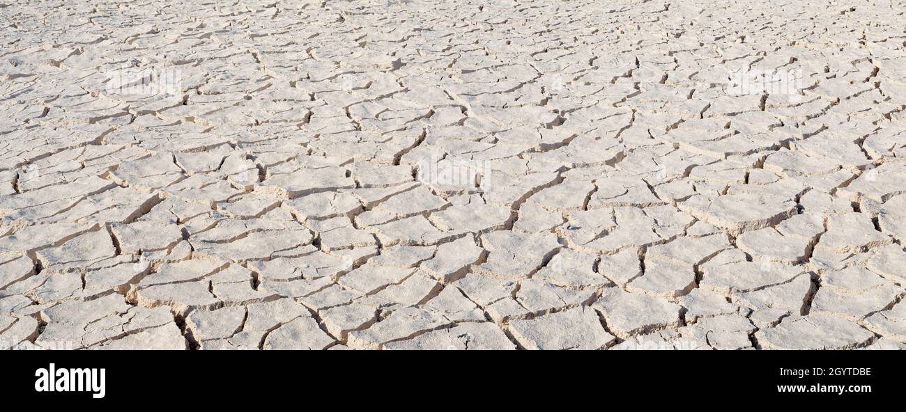 Cracked white clay surface texture. Wide angle, deep focus panorama Stock Photo
