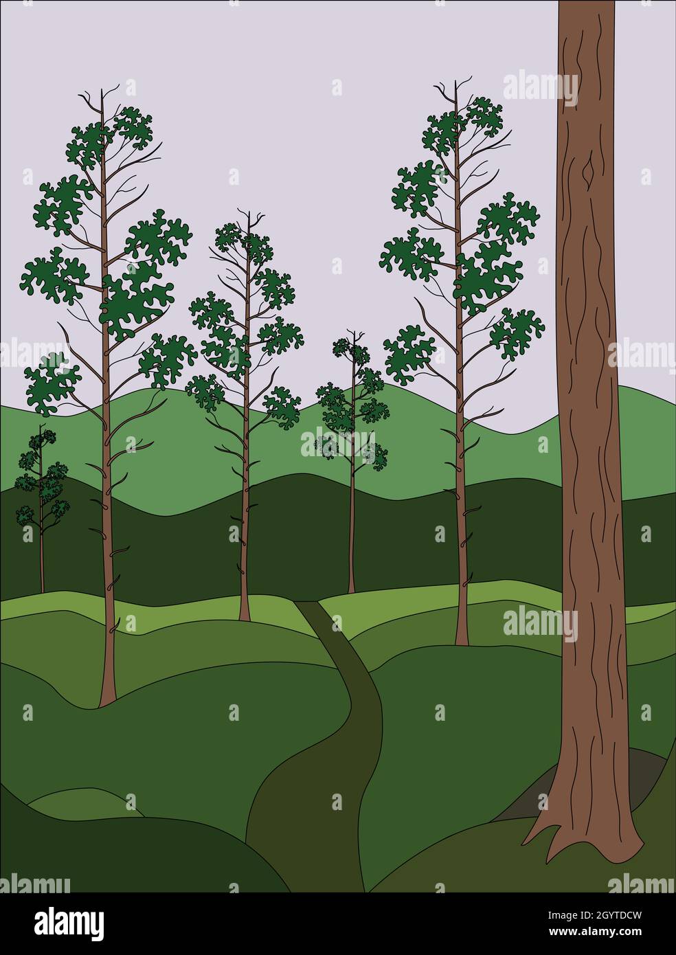 Pine forest landscape illustration Stock Vector Image & Art - Alamy