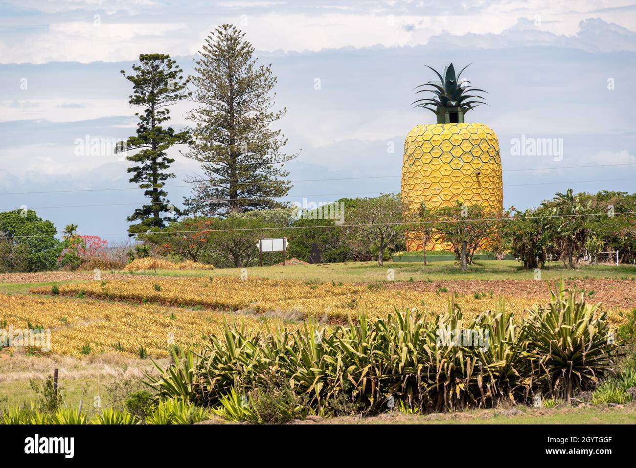 Summerhill farm hires stock photography and images Alamy